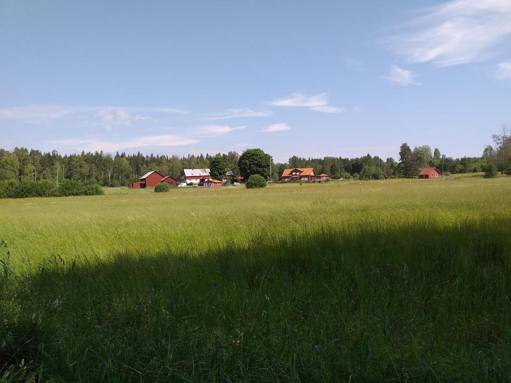 Lotta´s Cottage photo 4