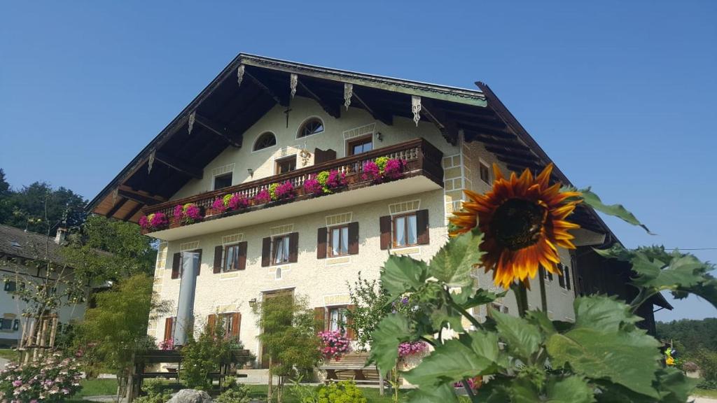 Weissnhof photo 1