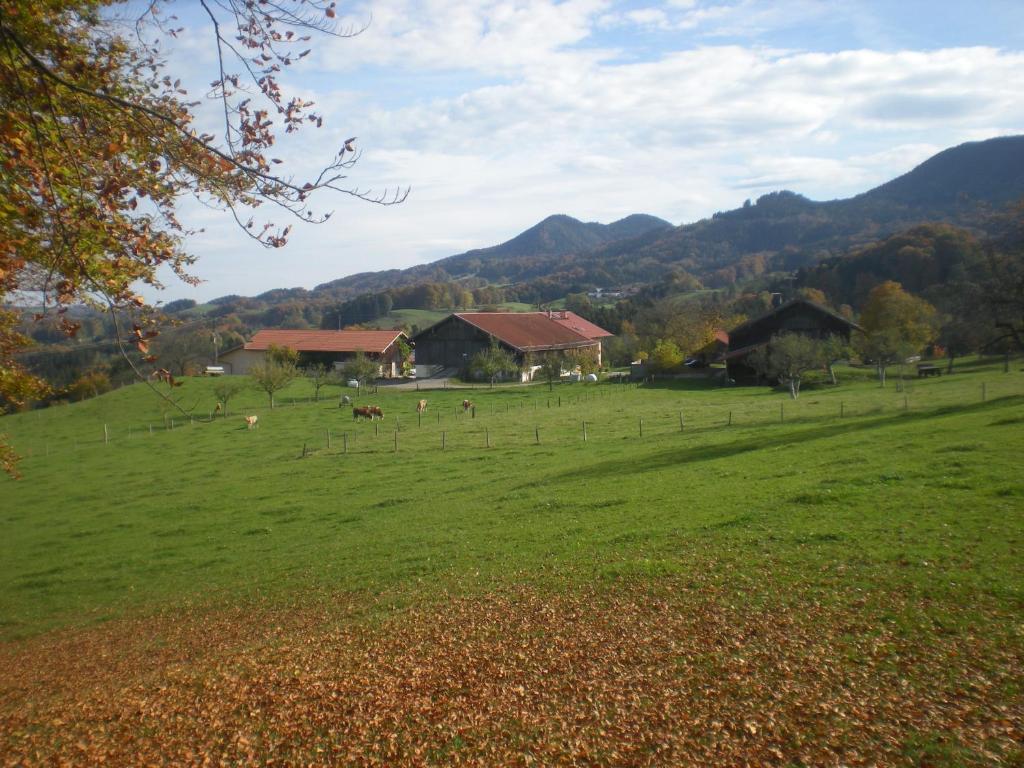 Weissnhof photo 2