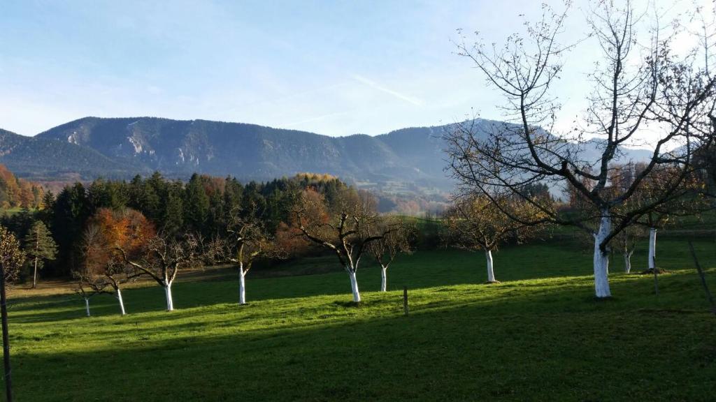 Weissnhof photo 4