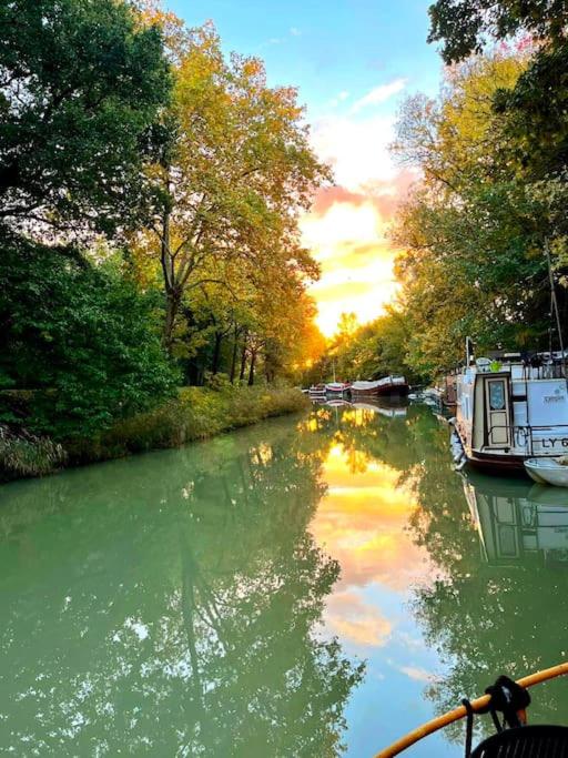 Péniche Amazonie canal du midi photo 2