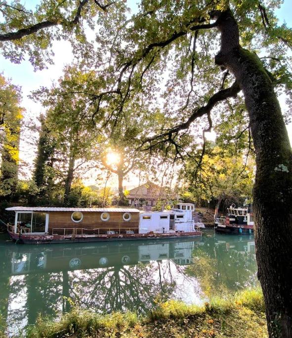 Péniche Amazonie canal du midi photo 4