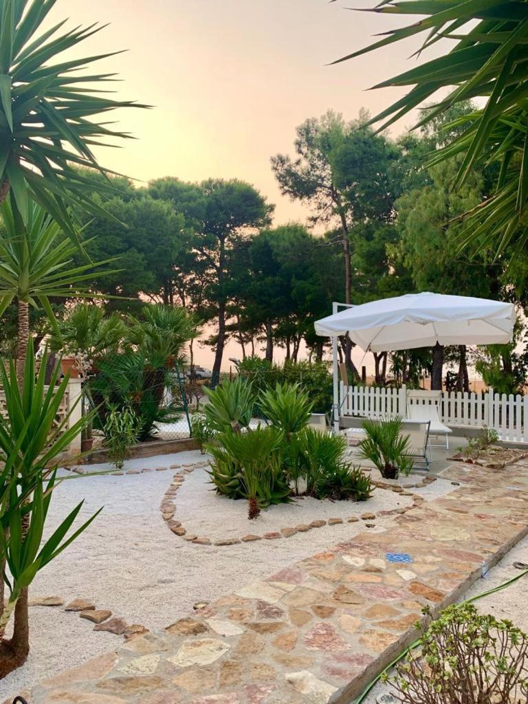 L'oasi Una Pineta Sul Mare photo 1