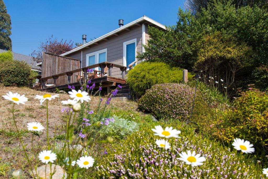 SCP Mendocino Coast Lodge photo 3