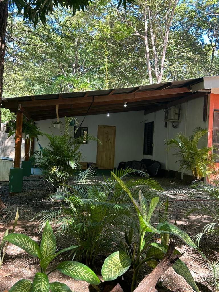 Aldo’s place #2