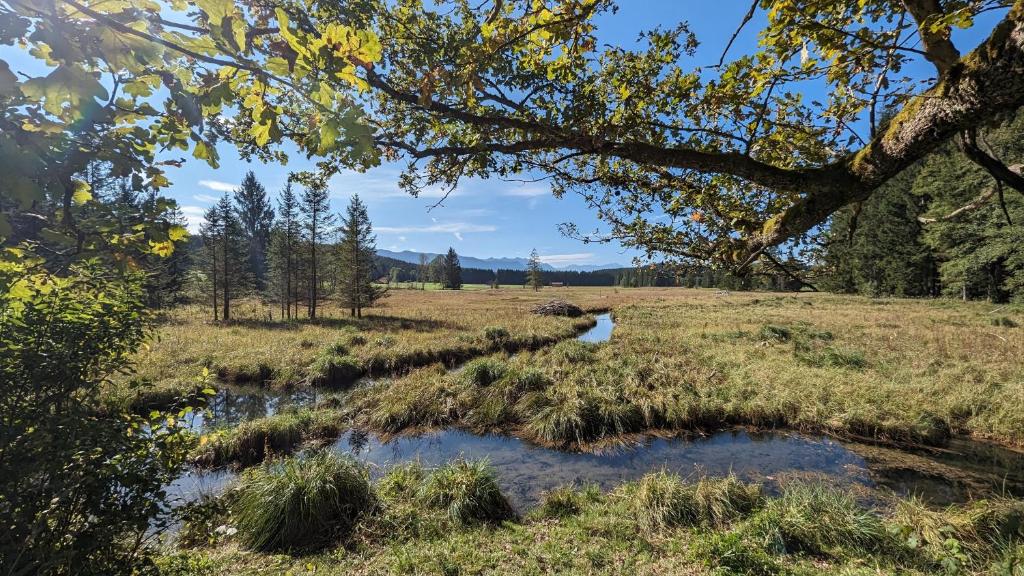 LIBORIA I Traumhafte Ferienwohnung in Aidling am Riegsee mit atemberaubendem Panoramablick! photo 3