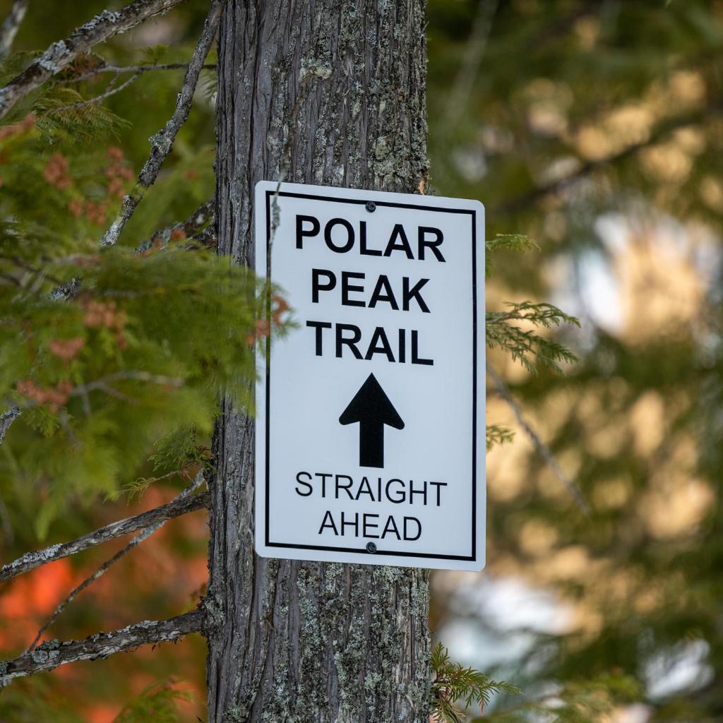 Polar Peak by Fernie Central Reservations photo 1