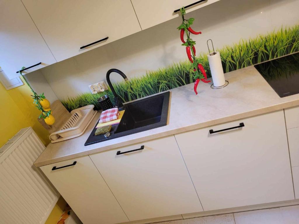 Apartament Charzykowy ''Biała Flaga'' photo 3