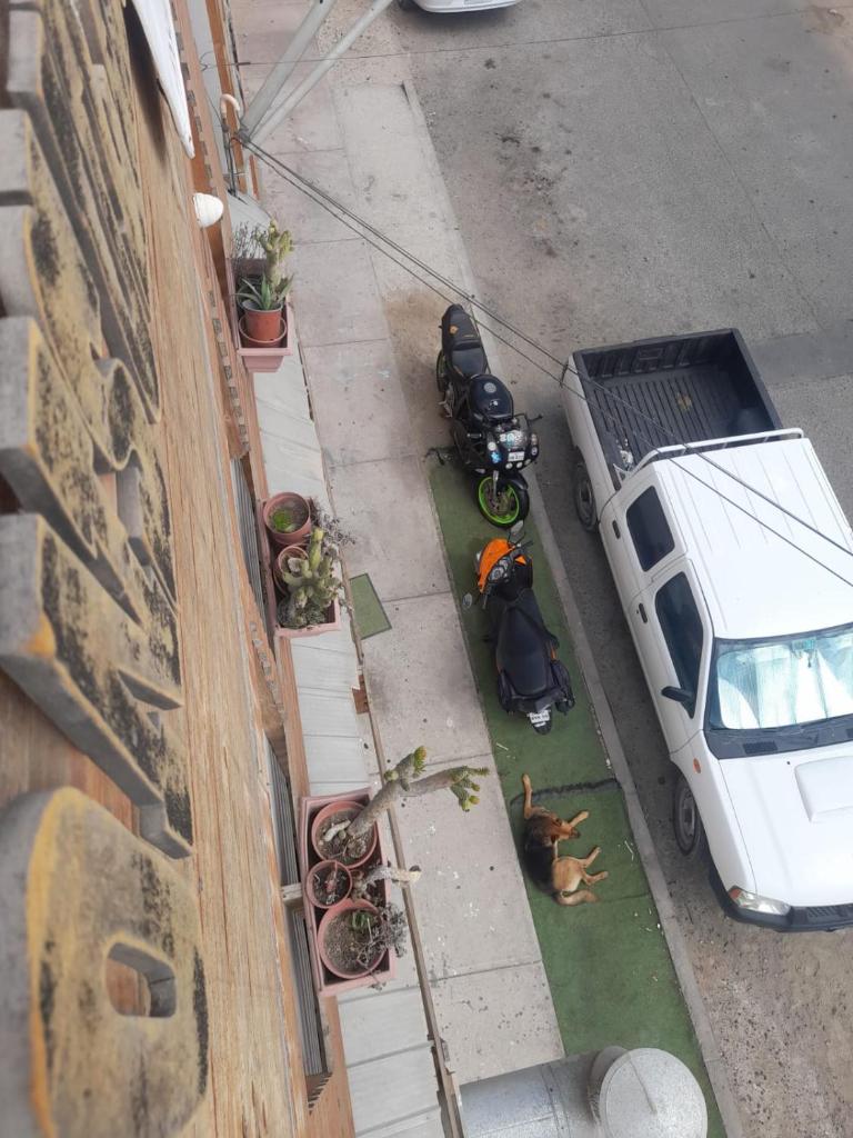 hostal consulado photo 3