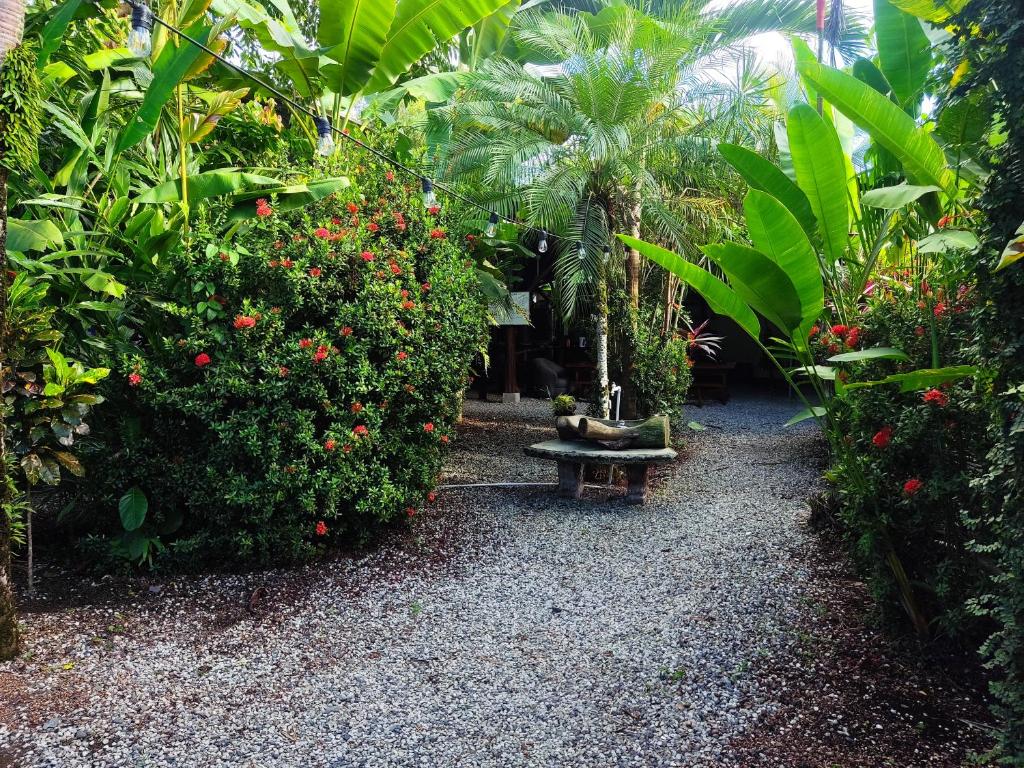 Cabinas Tropicales photo 2