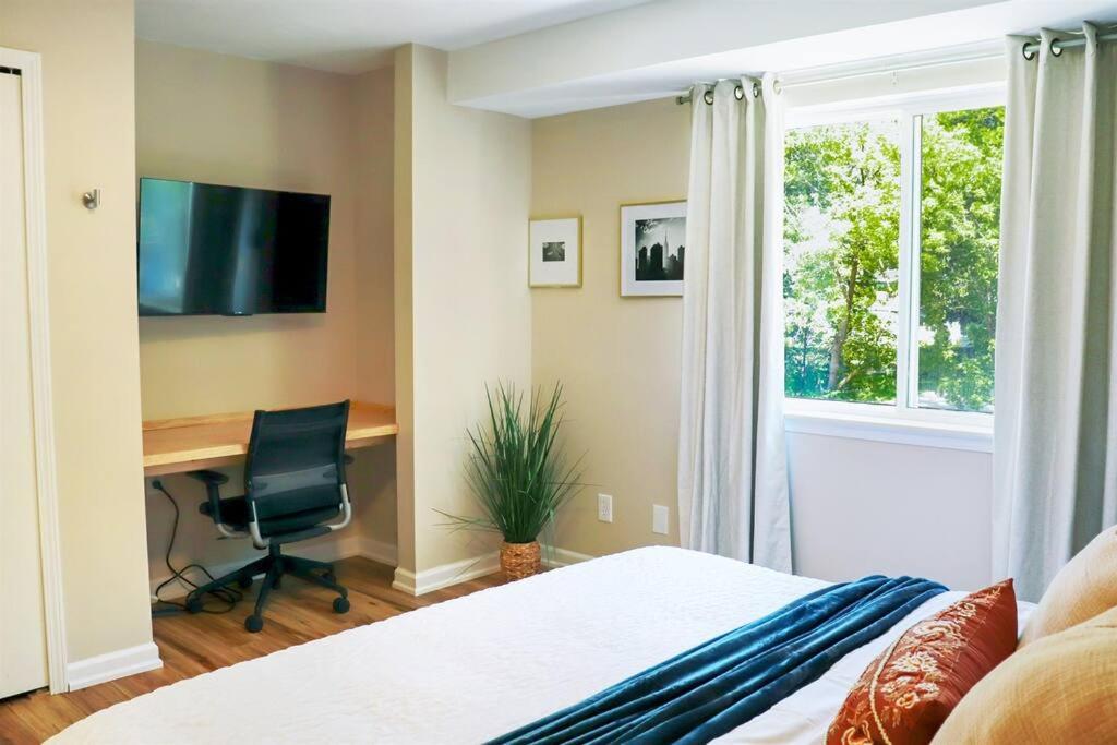 Cozy 1-Bedroom Apartment in Quiet Neighborhood photo 4