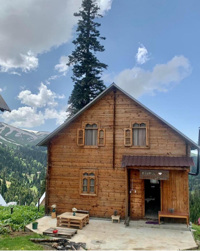 Hut_in_bakhmaro1