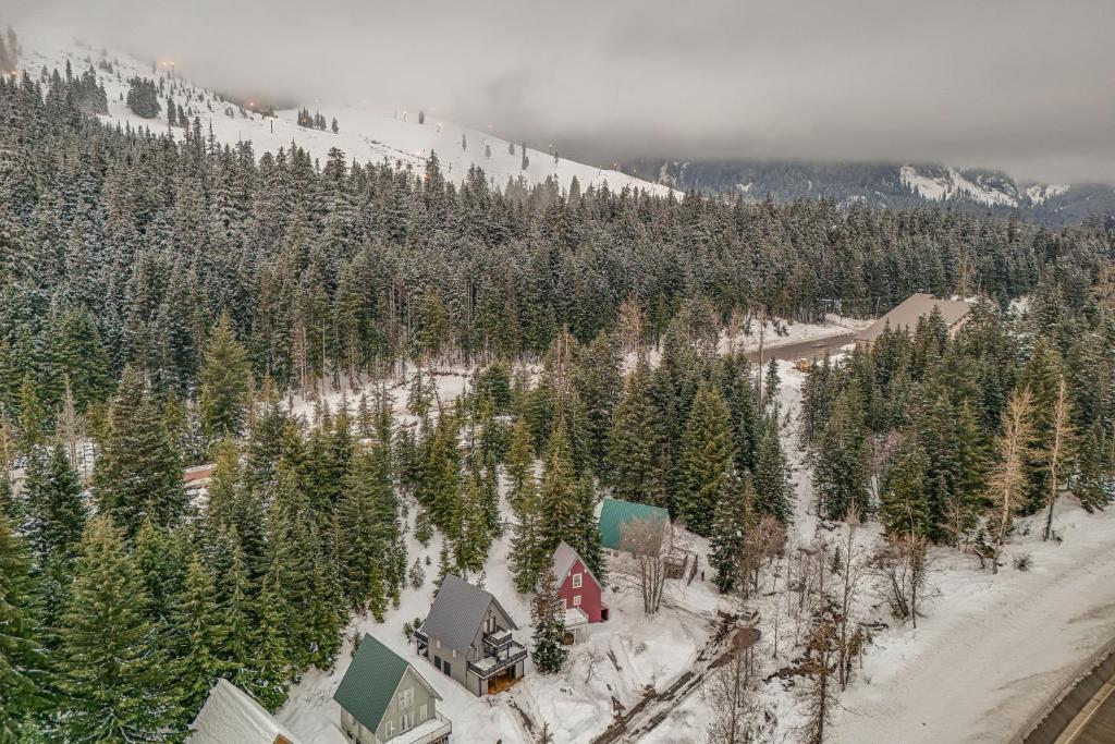 Snoqualmie Pass Cabin with Deck Walk to Ski Lift photo 1