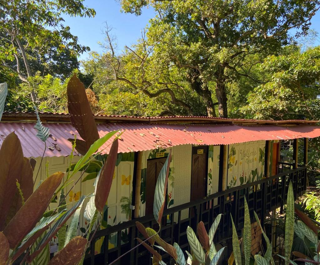 Hostal Las Mariposas Minca