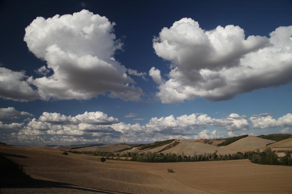 Tenuta D'Arbia photo 3