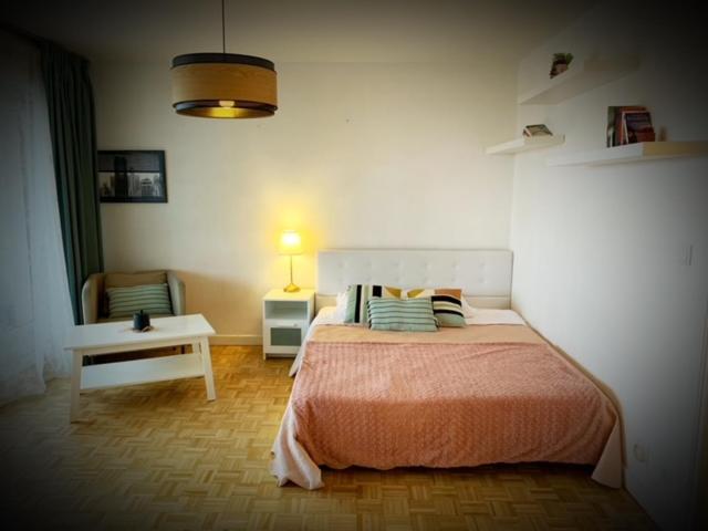 T1 bel appartement proche de Genève photo 3