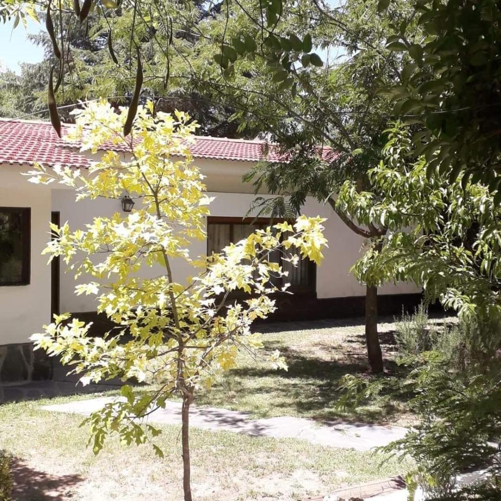 La casa del Árbol de Flo photo 2