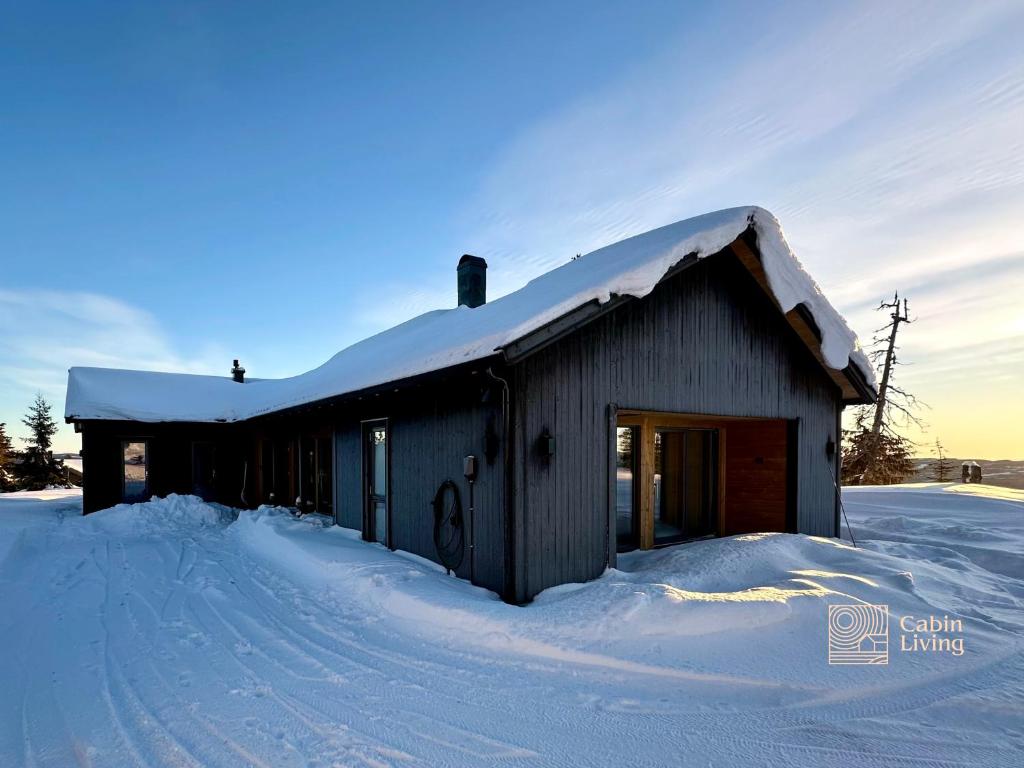 Unique new cabin by Hafjell & Skei with stunning view photo 3