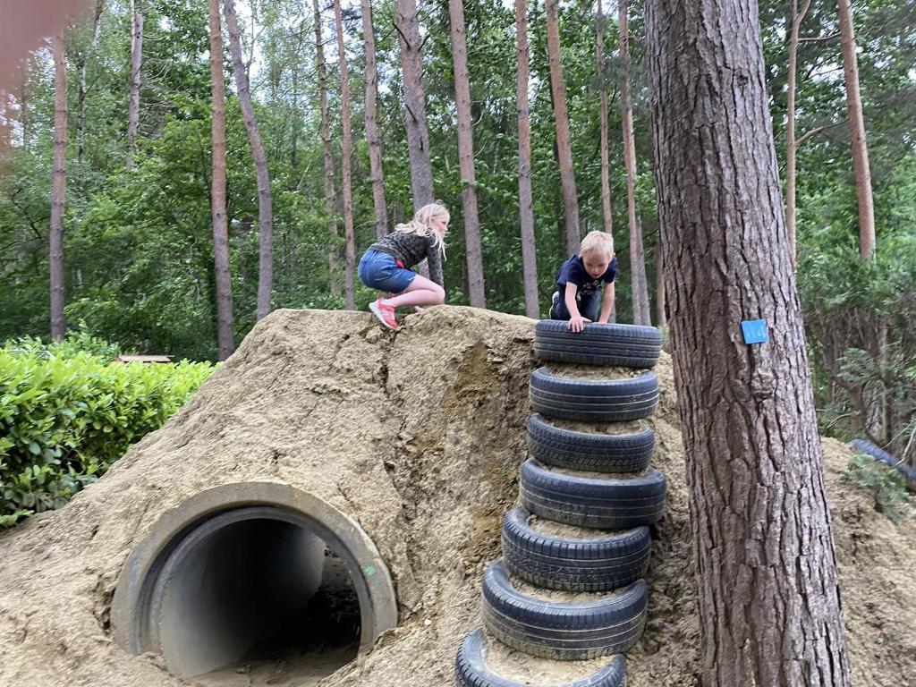Camping het Swinnenbos photo 1