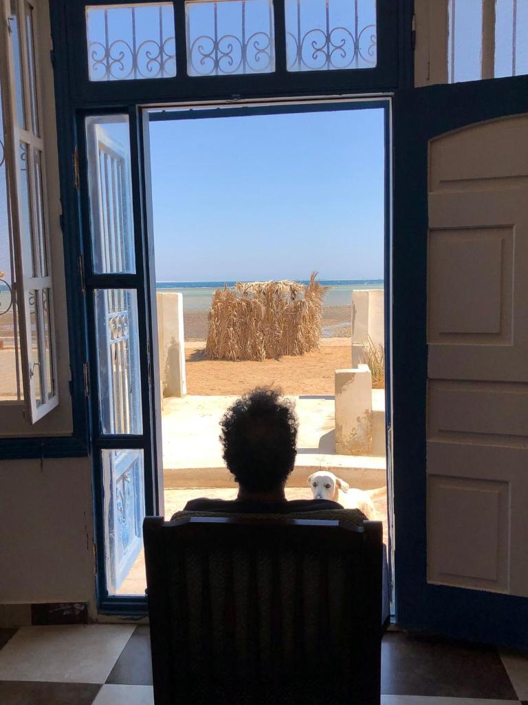 Das! Haus am Meer photo 3