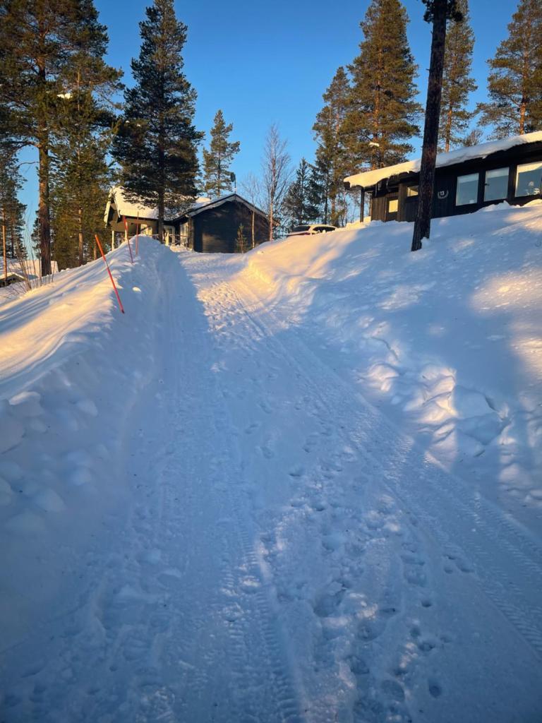 1125 Fjällstugan photo 2