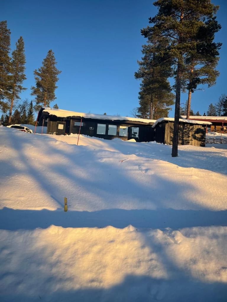 1125 Fjällstugan photo 1