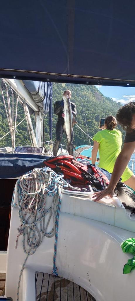 Paseos en Velero en Angra dos Reis photo 3