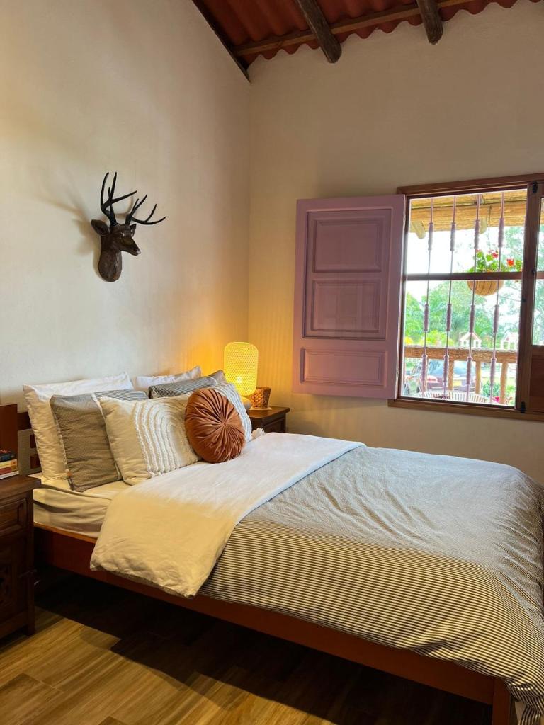 LA HERMOSA CASA AMARILLA photo 4