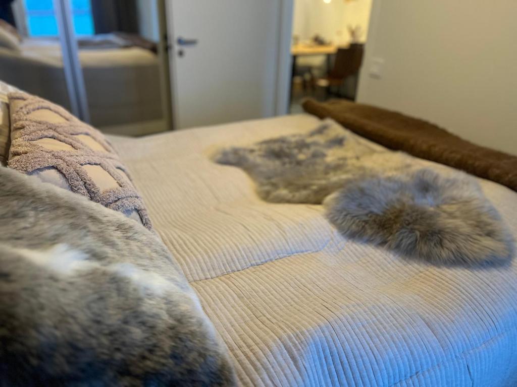 2 Room / Central Railway / Free parking photo 1