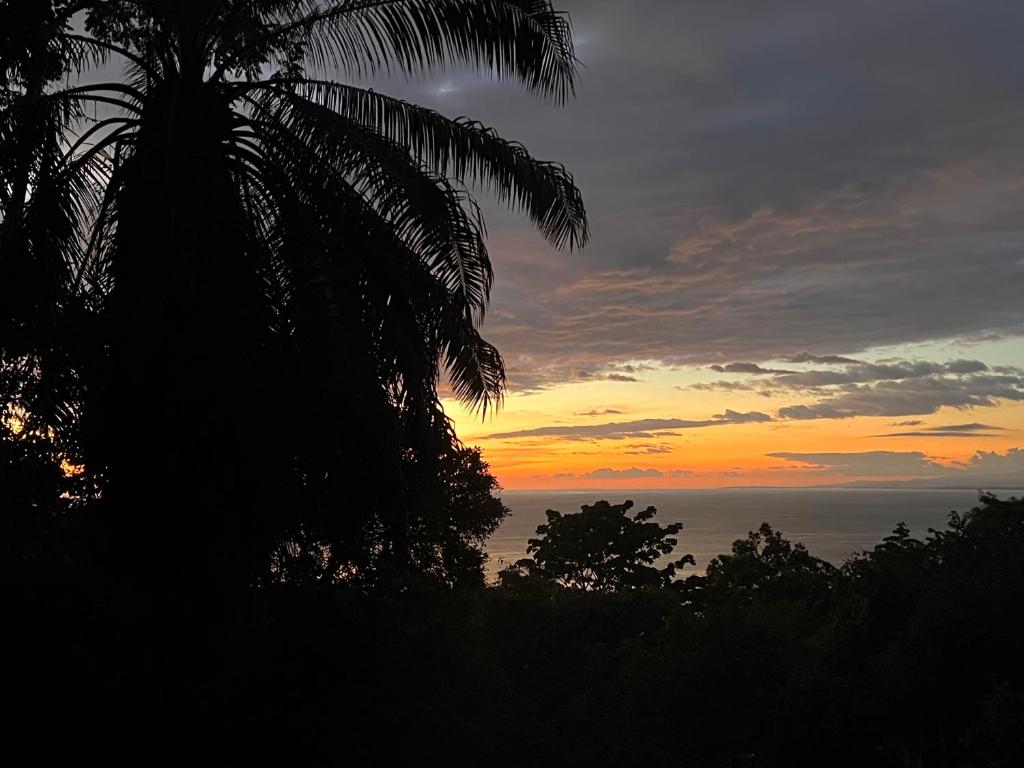 Iwazaru Panoramic ocean view bed and breakfast photo 1