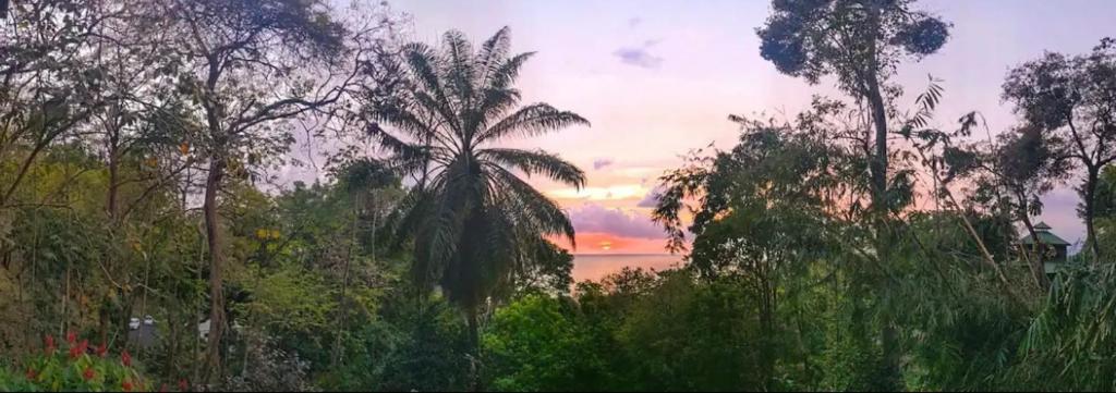 Iwazaru Panoramic ocean view bed and breakfast photo 4
