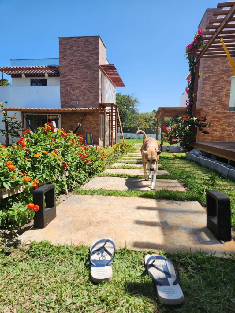 VILA DO RIO photo 2