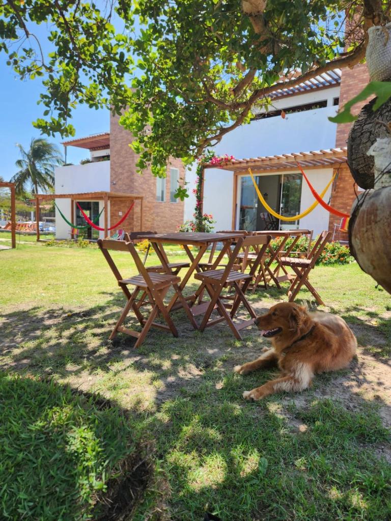VILA DO RIO photo 3