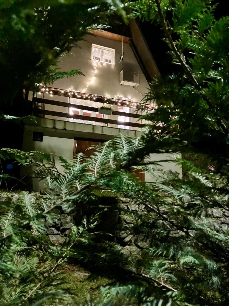 CASA MONTE photo 1