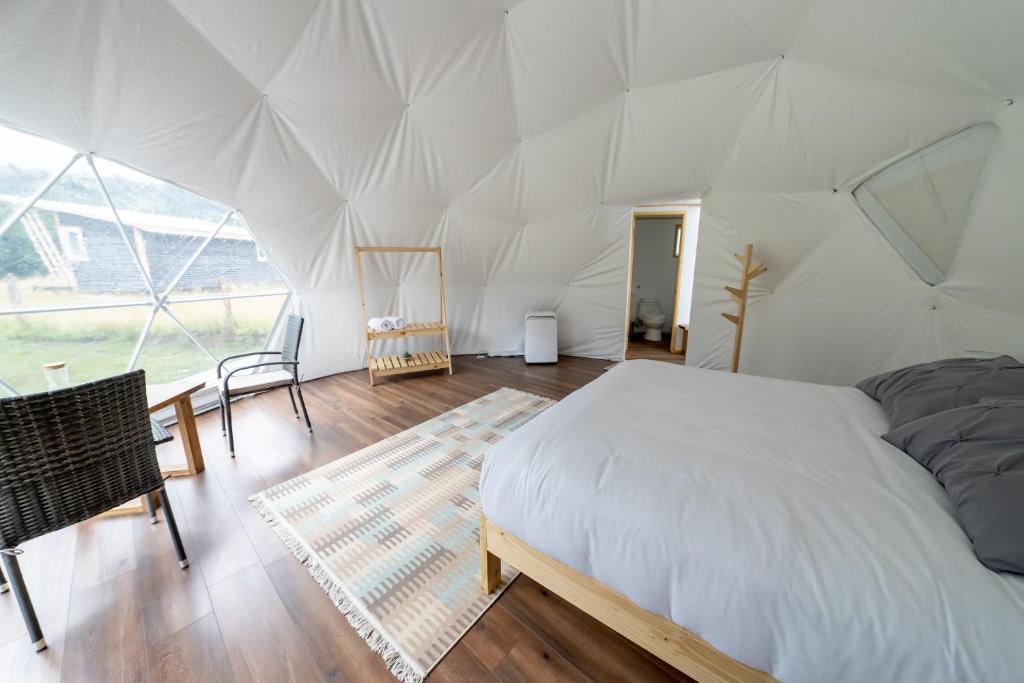 Pioneros Glamping & Expeditions photo 3