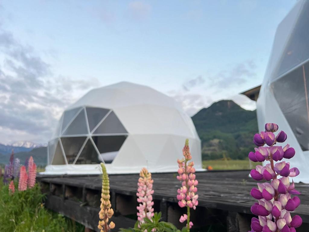Pioneros Glamping & Expeditions photo 4