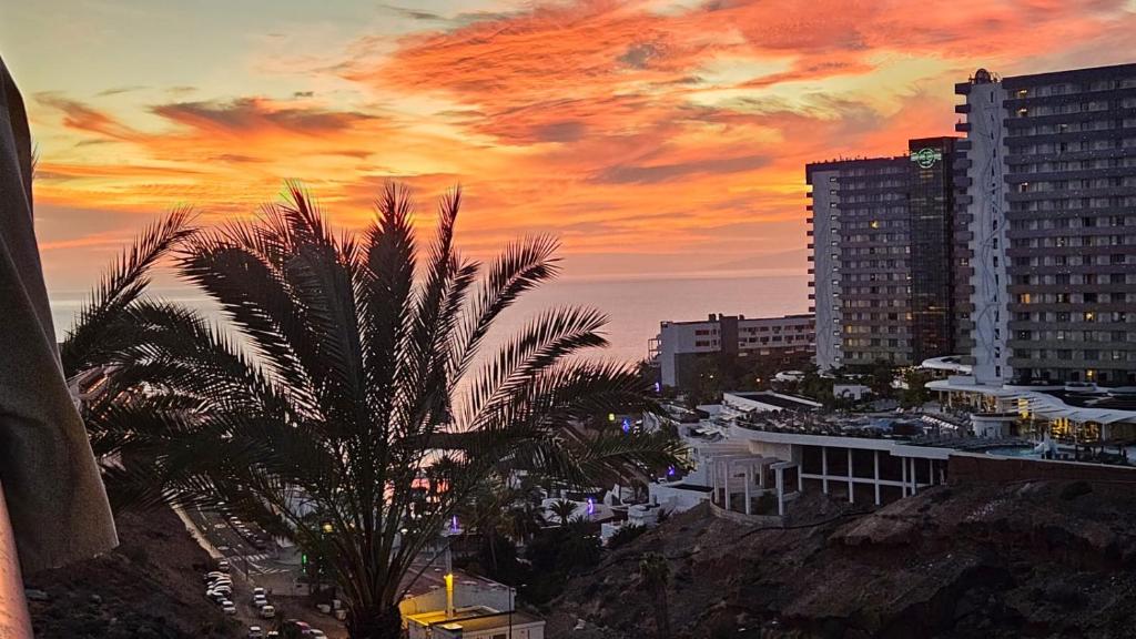 Paraiso tenerife, two bedrooms photo 2