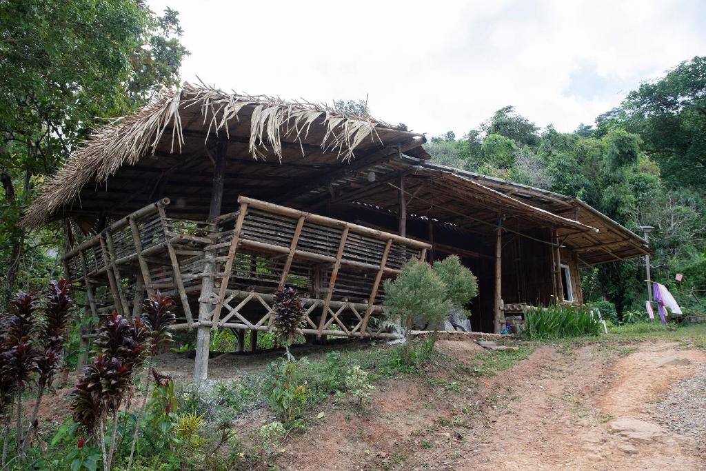 Khaokhopimphupha farmstay เขาค้อพิมภูผาฟาร์มสเตย์ ไม่มีไฟฟ้า น้ำจากน้ำตกธรรมชาติ Low cabon with Sustainability cares photo 1
