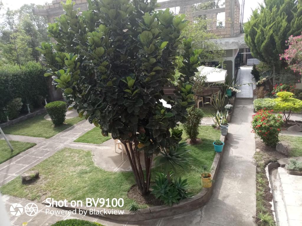 TAPHE GUEST RESORT photo 4