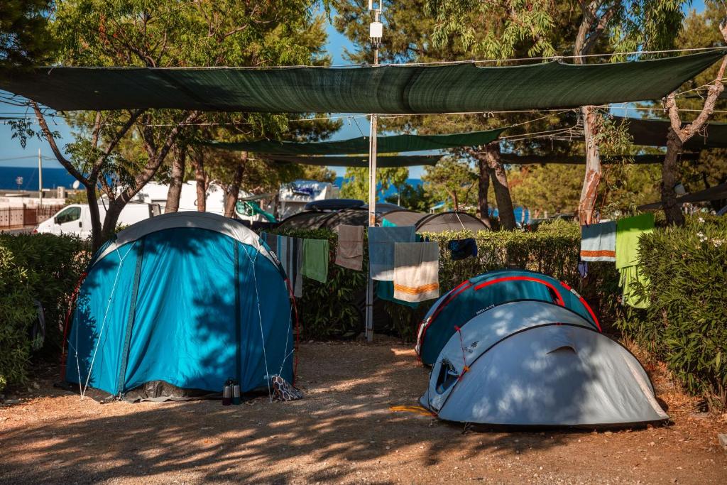 Residence Camping Atlantide photo 4
