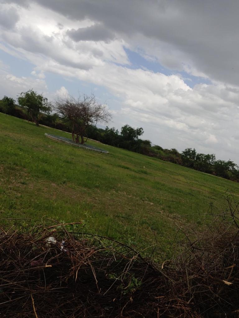 Shelta Village View Resort photo 1