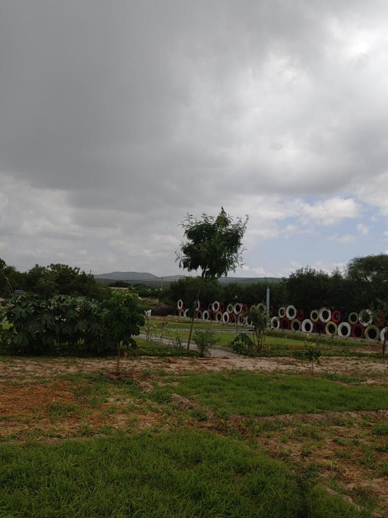 Shelta Village View Resort photo 3