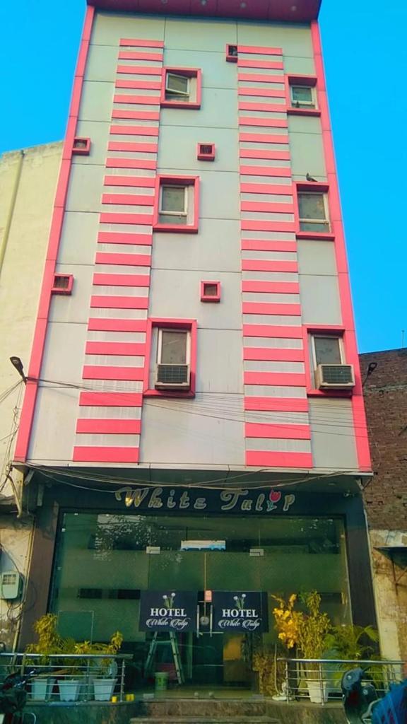 Hotel White Tulip photo 4