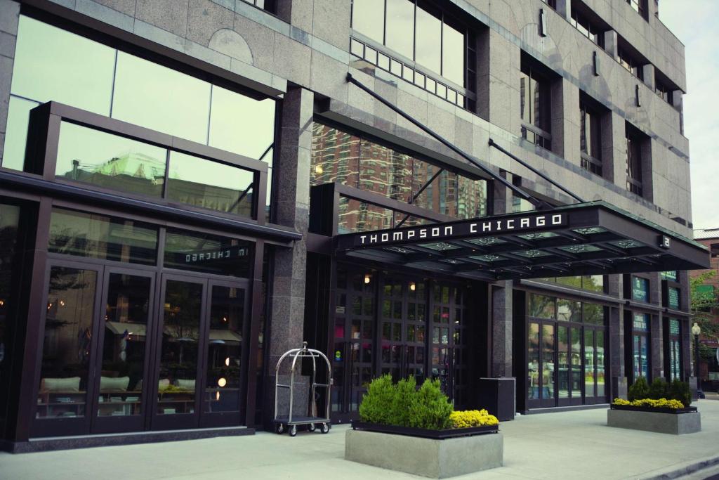 Thompson Chicago, by Hyatt image