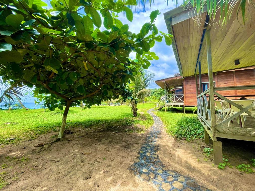 Domus Praia Jalé photo 4