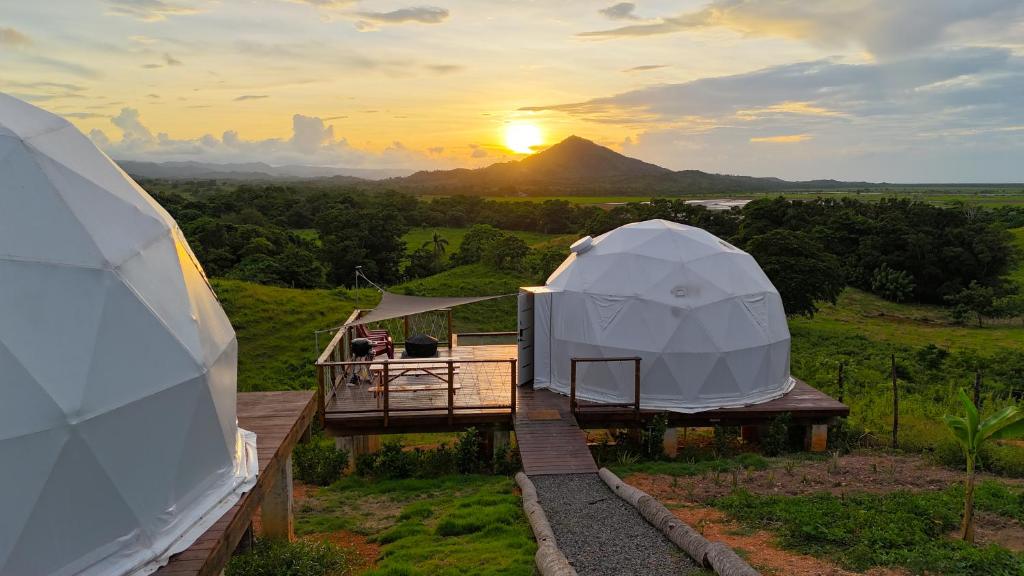 Domescape Glamping photo 4