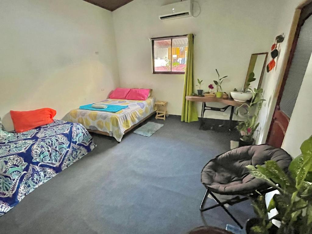 Cheap Hostel Quepos