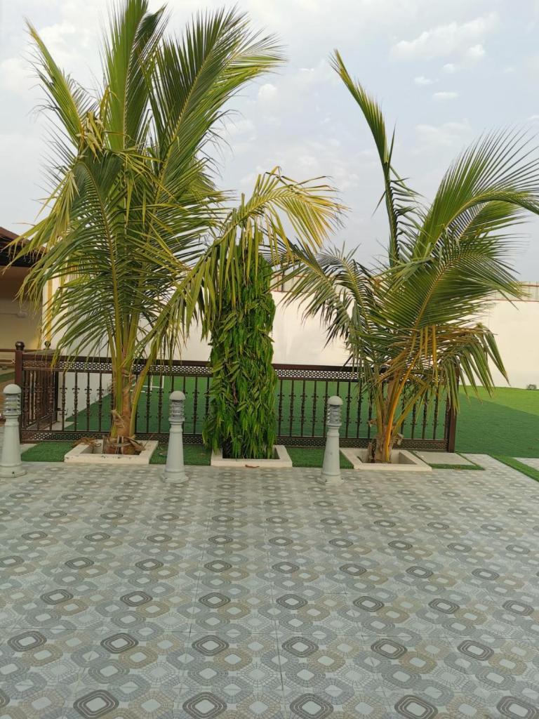 alshahad chalet photo 3