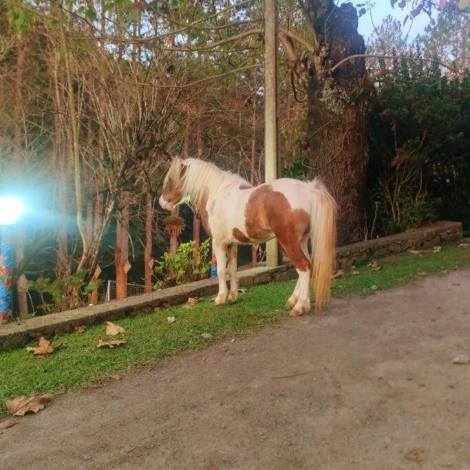 Chácara Sítio com Piscina Aquecida Fácil Acesso photo 4