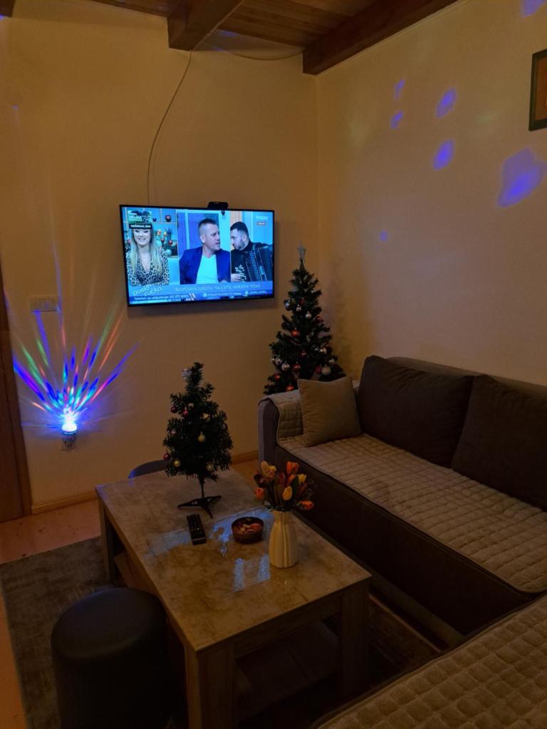 Mokrogorska kuca photo 3